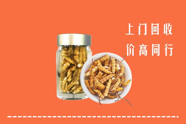 旅顺口区回收冬虫夏草